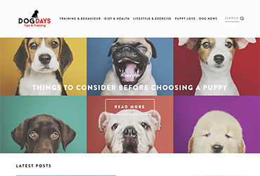 Dog days tips and training