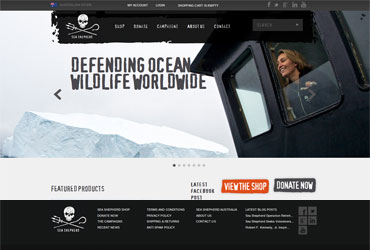 Seashepherd