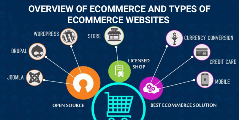 Overview eCommerce Types of eCommerce Websites