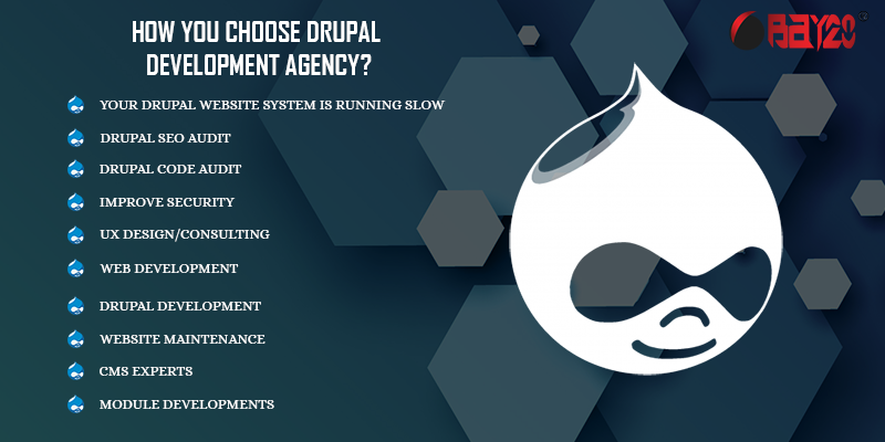 How you choose Drupal Development Agency