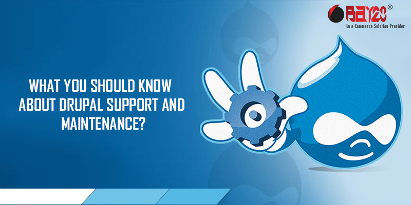 What you should know about Drupal Support and Maintenance