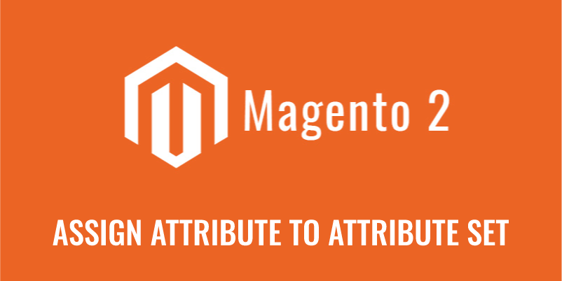 Assign attribute to attribute set in Magento 2