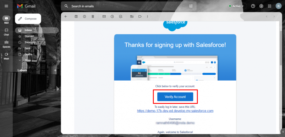 Salesforce Developer Account