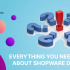 Everything You Need To Know About Shopware Developer