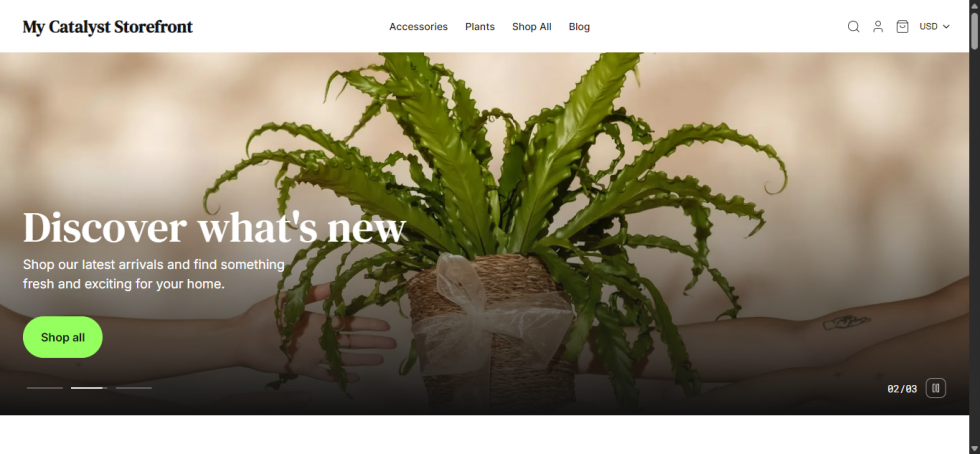 Example of a fresh local site.